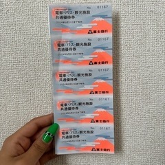 富士急ハイランド、チケット（2人分）