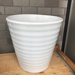 陶器のシンプルな植木鉢（白）