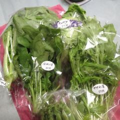 新鮮野菜コー新鮮野菜コーナー50円均一追加しました。