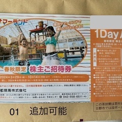 東京サマーランドチケット_0516A