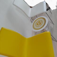 東京インテリア購入品 色違い椅子コンビ 黄色と白  