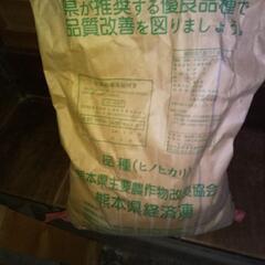 ヒノヒカリ種籾