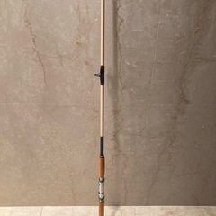 クエ用サオ2.23M ペンリール100号満タン