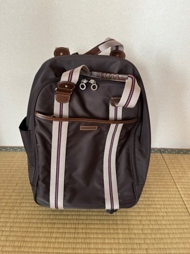ACE　キャリーバック　機内持ち込み