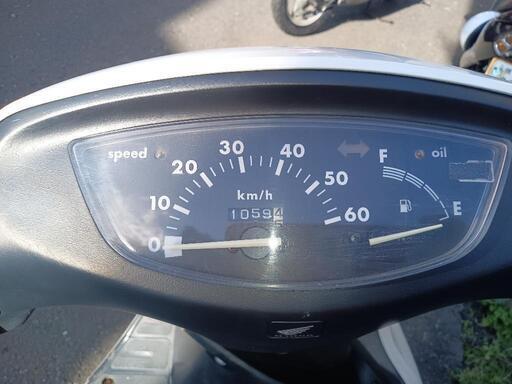 プロ整備済 ピカピカ上物ライブディオ 早い者勝ち!! 【 #ﾊﾞｲｸ