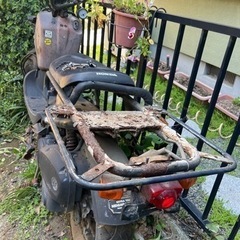 ホンダ　ズーマージャンク車両