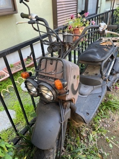 ホンダ　ズーマージャンク車両