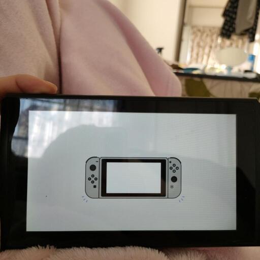 本日のみ 任天堂 Switch 本体のみ