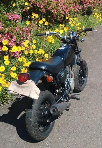 エイプ50　Fi　ape　(No.2144) エイプ50 Fi ape (No.2144) goobike】バイクカタログ：ホンダ エイプ