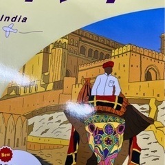在日インドの方、インド旅行経験者さん、インドのこと教えてくださいの画像