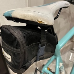 ビアンキ　ローマⅣ 540サイズ　クロスバイク