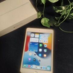iPad mini4 Wi-Fi+Cellular 16GB ゴ...