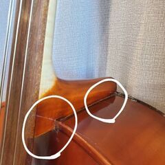 ネックメープル製　チェロ　Josef Jan Dvorak