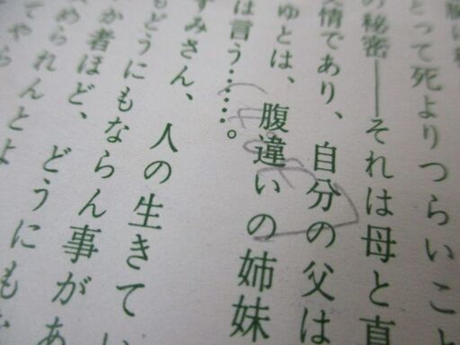 ≫32 映画チラシ 女たちの庭 倍賞千恵子 大番頭 小番頭 検：フライヤー