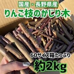 長野県産 りんご枝のかじり木 2kg
