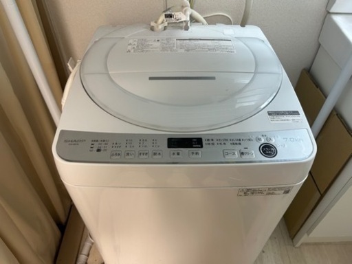 家電 生活家電 洗濯機