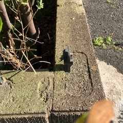 ガーデンフェンス　11枚