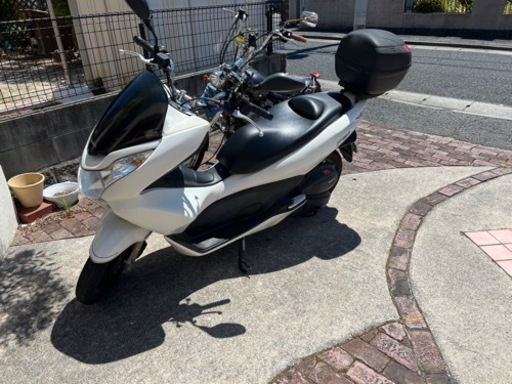 PCX125自賠責R8年11月