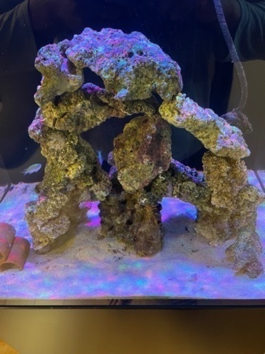 天然　ライブロック 海水　珊瑚　サンゴ　水槽　アクアリウム　重量　9キロ　海水魚