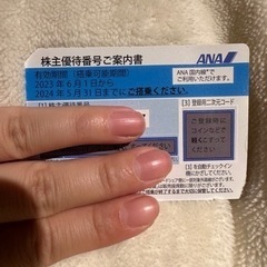 ANA 優待券　2024年5月31日まで