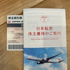 【ネット決済】JAL 株主優待