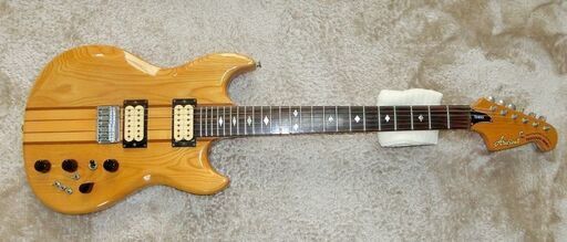 TS-800　Aria Pro Ⅱ（最上位機種）