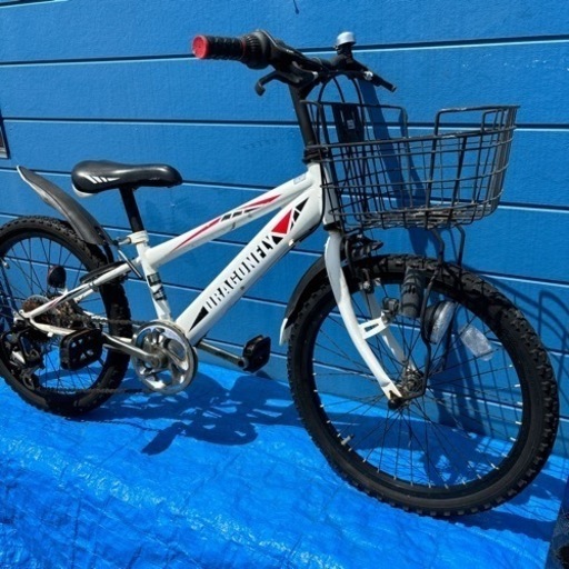DRAGONFLY 20 インチ6変速