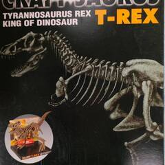 クラフトサウルス　ティラノサウルス　フタバスズキリュウ　3Dクラフト