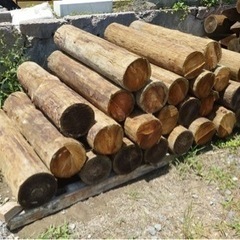 丸太 木材 薪 
