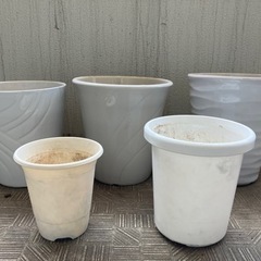 植木鉢陶器プラスチック[お取引中]