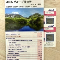 ANA  株主優待　割り引き　チケット　2枚