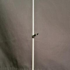 SHIMANO　鱗海スペシャルとDAIWAのフローティングベストのセット