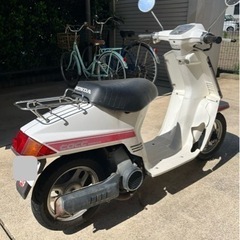 原付バイク ホンダ ニュータクト 