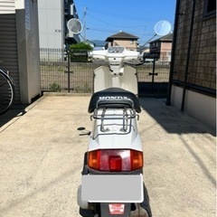 原付バイク ホンダ ニュータクト 