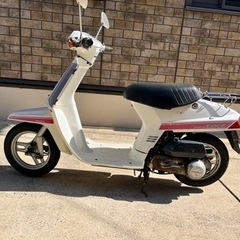 原付バイク ホンダ ニュータクト 
