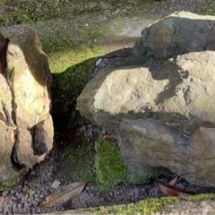 庭の飾り石　２個