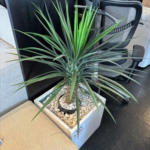 フェイクグリーン 人工植物 ハワイアン ナチュラル インテリア おしゃれ