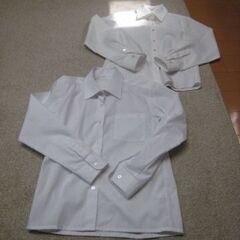 学生白シャツ　女子　１５０サイズ　２枚セット