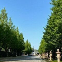 42～65才（年の差） 東京散歩♪ ～1人参加～【千鳥ヶ淵…