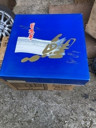 鯉のぼり