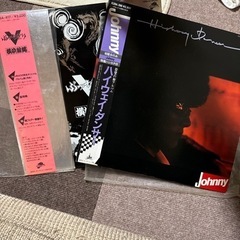 横浜銀蝿 ジョニー LPレコード　