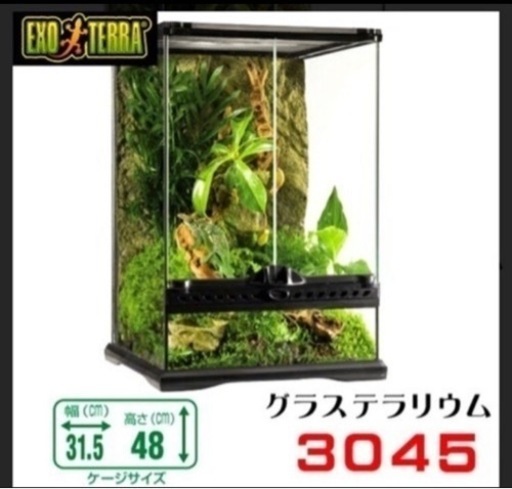 爬虫類ケージ グラステラリウム3045 中古 レオパ