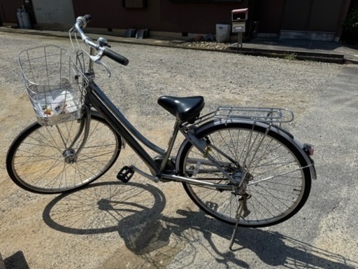 自転車　アルベルト