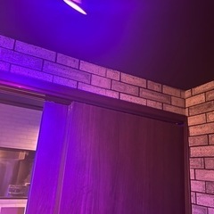 オシャレ 照明 ライト GU10 RGBW ピンク　インテリア ...