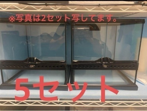 爬虫類ケージ　GEXエキゾテラ3030 ×5