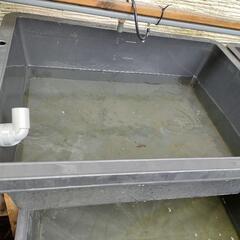 めだか容器  トロ舟40、60