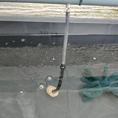 めだか容器  トロ舟40、60