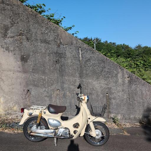 リトルカブ