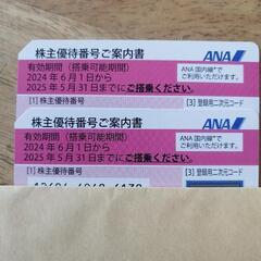 【ネット決済・配送可】チケット ANA