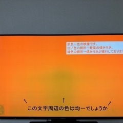 パナソニック　有機EL55インチ